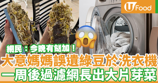 【飲食熱話】密集恐懼症慎入！大意媽媽誤遺綠豆於洗衣機  一周後過濾網長滿大片芽菜超驚嚇