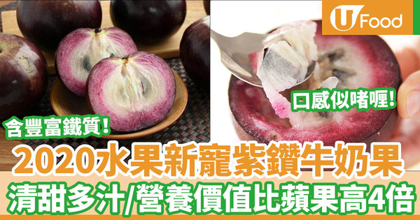 【牛奶果】水果界新貴夢幻紫色牛奶果  清甜多汁口感似果凍  含豐富鐵質／抗氧能力高