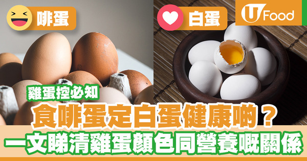 【雞蛋營養】吃啡色雞蛋比白色雞蛋更健康？　一文睇清雞蛋顏色與營養價值的關係