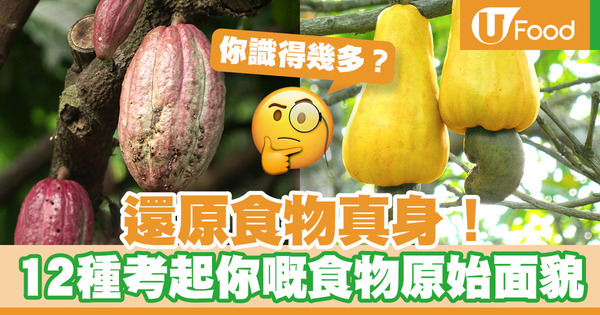 【食物真身】還原食物真身！12種意想不到的食物原始面貌