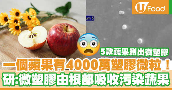 【食用安全】新研究：微塑膠由植物根部吸收污染蔬果　一個蘋果有4000萬塑膠微粒！