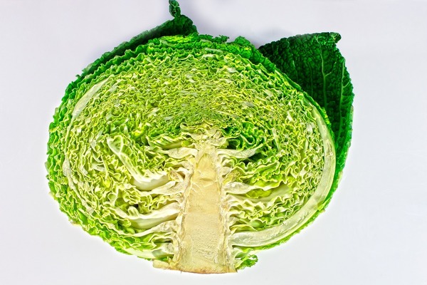 【新冠肺炎】研究：多吃椰菜、青瓜可降15%新冠肺炎死亡風險 各國飲食習慣不同死亡率差異大