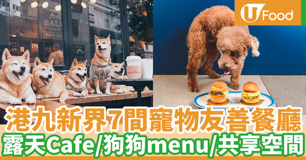 【寵物好去處】香港7間寵物友善餐廳推薦！室內餐廳／戶外露天Cafe／狗狗雪糕