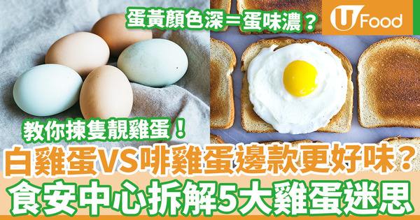 【雞蛋營養】白雞蛋一定比啡雞蛋更好味？食安中心解構雞蛋5大常見迷思