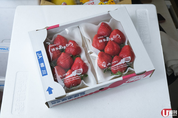 【士多啤梨】時令必食！日本士多啤梨大解構