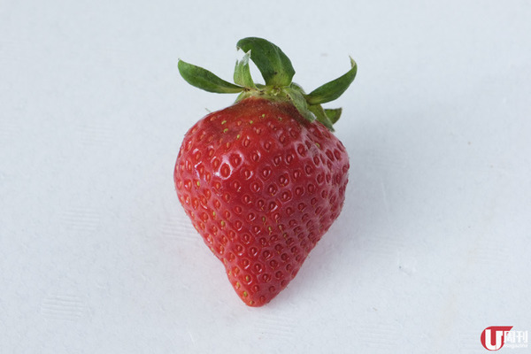 【士多啤梨】時令必食！日本士多啤梨大解構