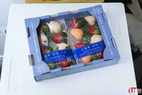 【士多啤梨】時令必食！日本士多啤梨大解構