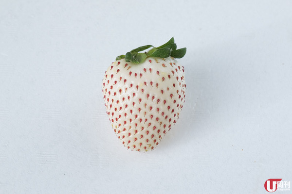 【士多啤梨】時令必食！日本士多啤梨大解構