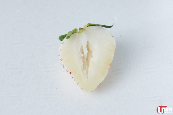 【士多啤梨】時令必食！日本士多啤梨大解構