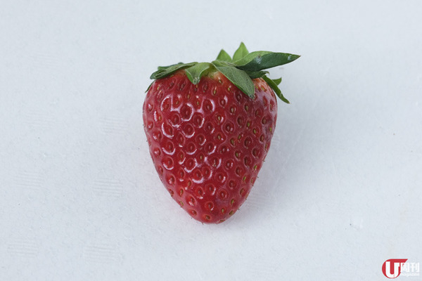 【士多啤梨】時令必食！日本士多啤梨大解構