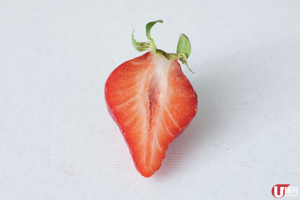 【士多啤梨】時令必食！日本士多啤梨大解構