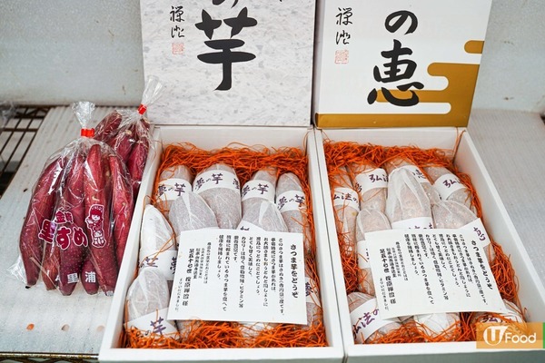 【日本番薯】日本番薯$500一盒甜度達30度！ 果欄專家教你分清番薯高級品種／味道／價錢／最佳食法
