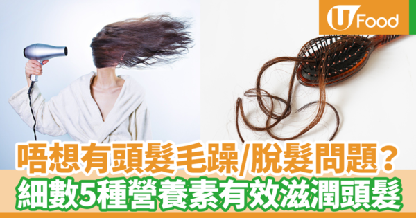 【護髮食物】頭髮毛躁／髮質偏乾／容易脫落？　細數5種營養素有效滋潤頭髮／長出健康頭髮
