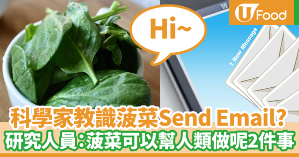 【菠菜營養】美國科學家教識菠菜send email揾爆炸品！　細數菠菜5大好處（內附食譜）