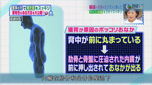【日本減肥方法】1個方法分清下腹肚腩類型！　日本節目教你3分鐘快速趕走兩類小肚腩（內附教學）