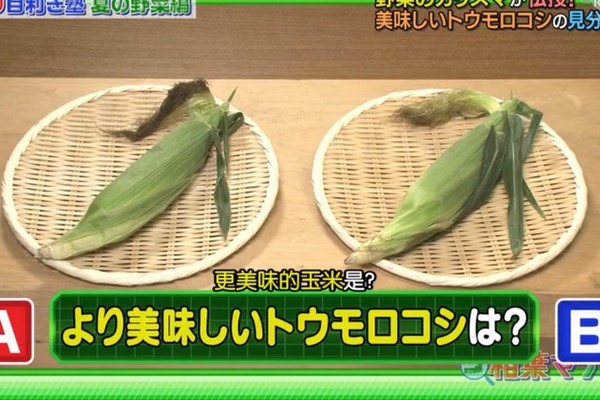 【挑選粟米】日本專家2招揀粟米方法  最重要看粟米鬚／無需去葉都知夠香甜！