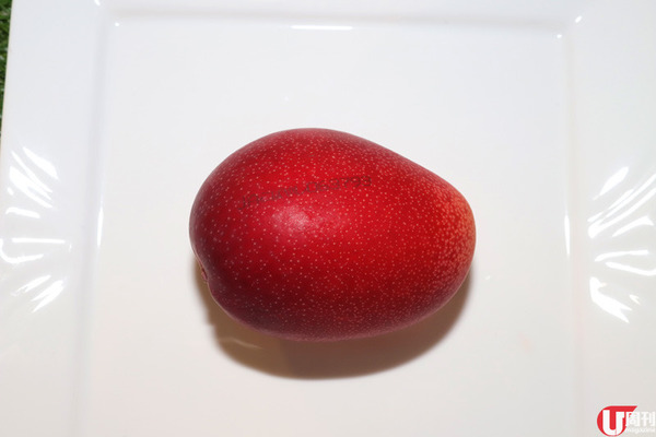 【芒果】當造芒果上市 果欄達人教你揀