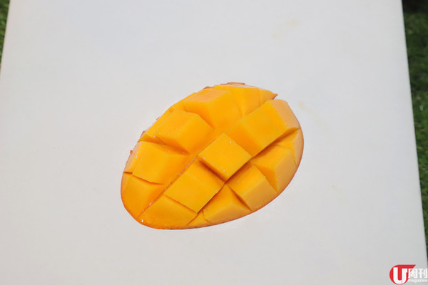 【芒果】當造芒果上市 果欄達人教你揀