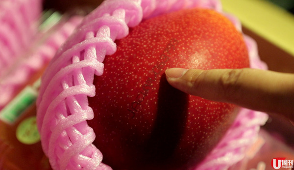 【芒果】當造芒果上市 果欄達人教你揀