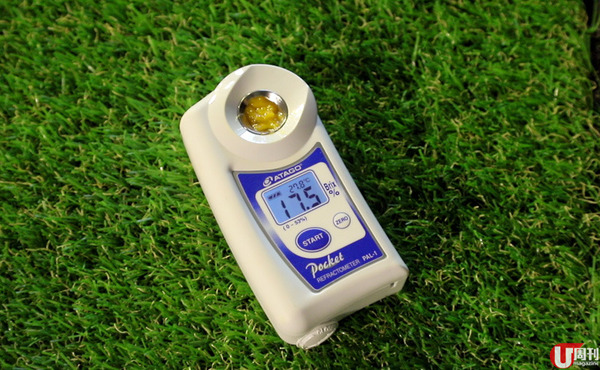 【芒果】當造芒果上市 果欄達人教你揀