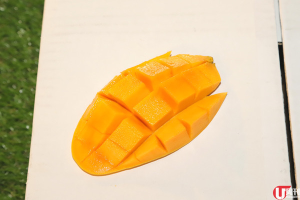 【芒果】當造芒果上市 果欄達人教你揀