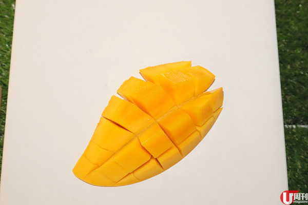 【芒果】當造芒果上市 果欄達人教你揀