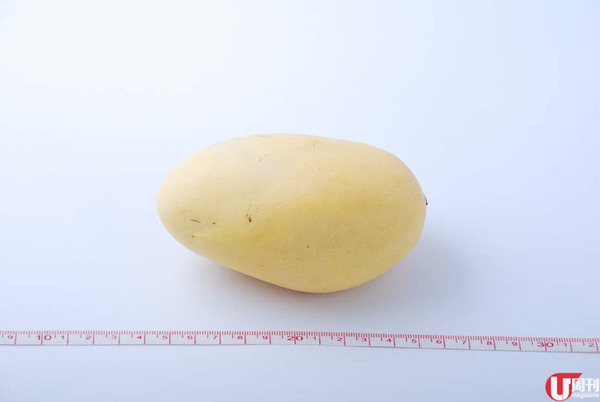 【芒果】當造芒果上市 果欄達人教你揀