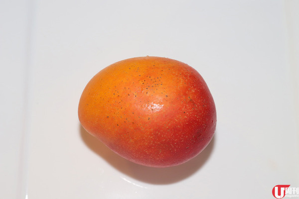 【芒果】當造芒果上市 果欄達人教你揀