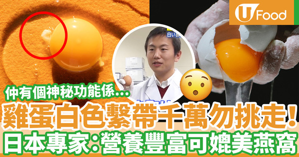 【雞蛋營養】雞蛋白色繫帶營養豐富如燕窩  日本專家公開3大神秘雞蛋繫帶功能