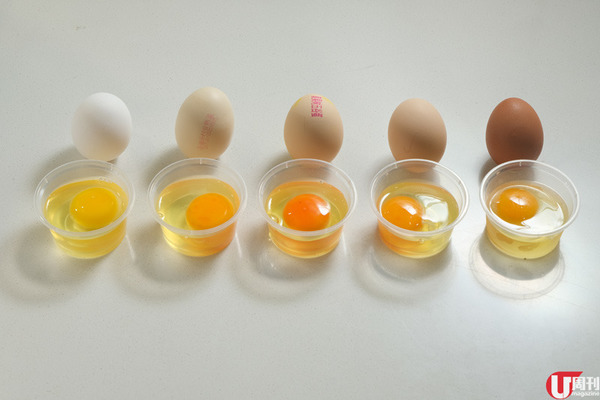 蛋檔達人教揀蛋 超市 5 大新晉靚蛋