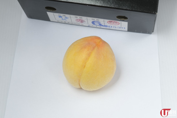 初夏當造 日本水蜜桃上市