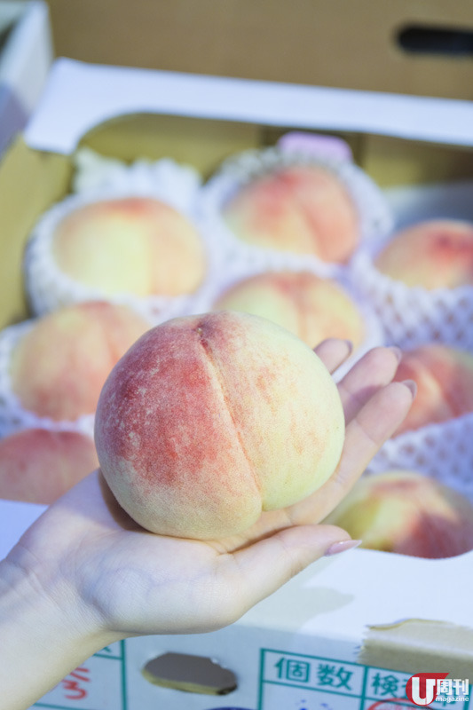 初夏當造 日本水蜜桃上市