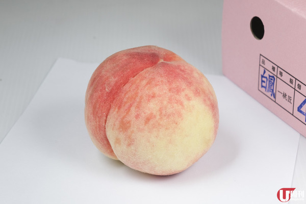 初夏當造 日本水蜜桃上市