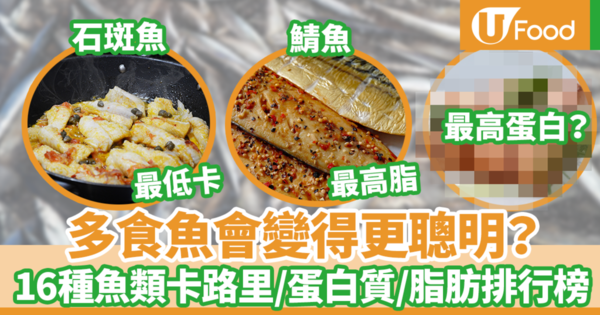 【魚卡路里】多吃魚會變得聰明？　營養師整合16種魚類卡路里／蛋白質／脂肪排行榜