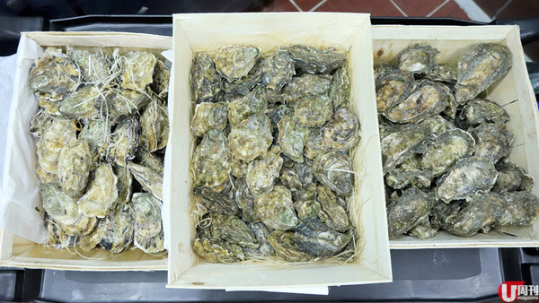 全港首創！真空包生蠔 免開蠔即開即食 / 編輯部試味
