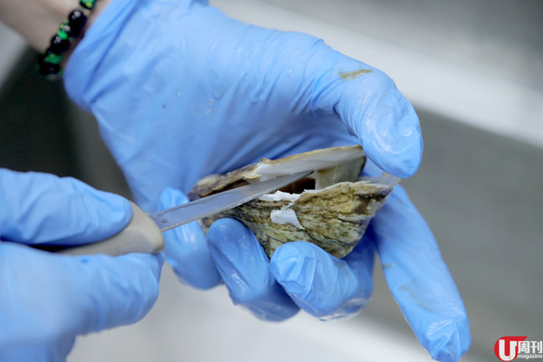 全港首創！真空包生蠔 免開蠔即開即食 / 編輯部試味