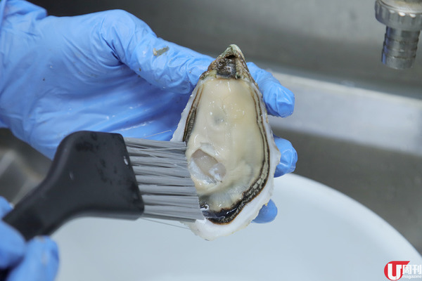 全港首創！真空包生蠔 免開蠔即開即食 / 編輯部試味