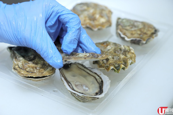 全港首創！真空包生蠔 免開蠔即開即食 / 編輯部試味