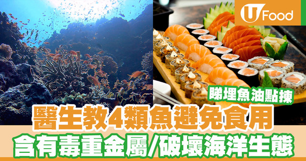 醫生教4類魚避免食用 含有毒重金屬危害神經系統／破壞海洋生態