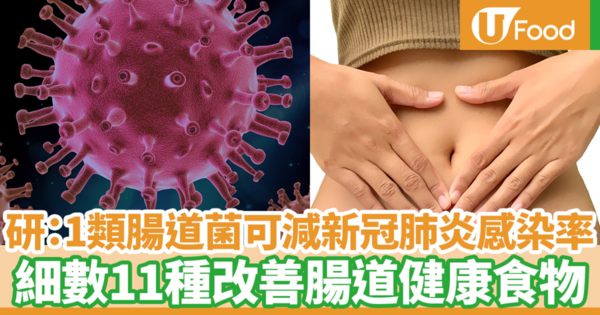 最新日本研究：一類腸道細菌可以減低新冠肺炎感染率及死亡率　細數11種改善腸道健康食物