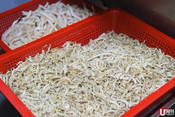 銅鑼灣新開蛇王熙 蛇王二班底 / 重現馳名足料蛇羮