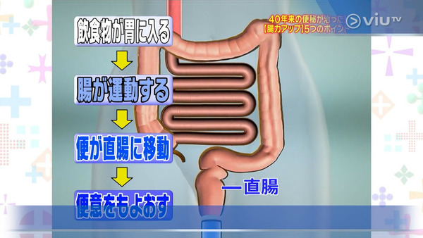 被便秘困擾40年女性大腸塞滿宿便！　日本醫生推薦5個簡單方法快速改善腸道力／3個月見效