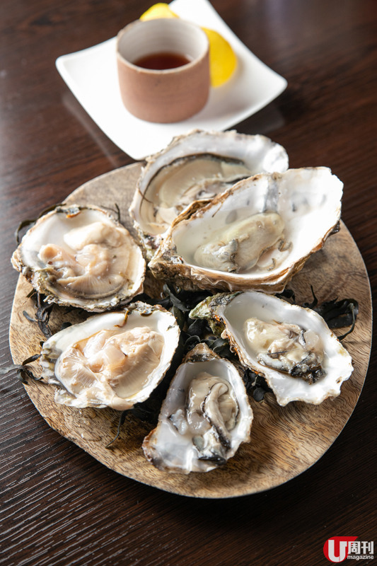 大廚直營荷蘭產物店 必買荷蘭生蠔│熟成高達芝士│活青口 