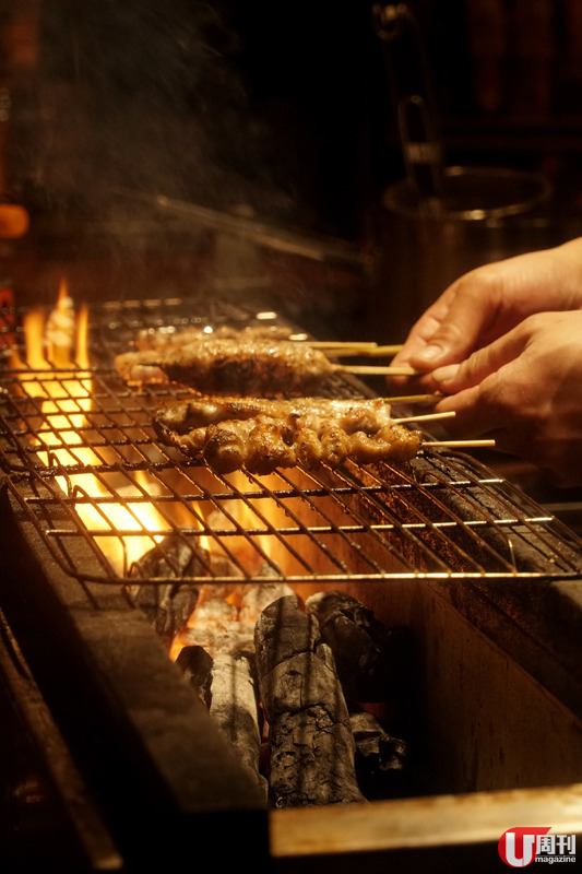 尖沙咀超地道燒鳥店 備長炭烤製│必吃燒鴿髀 燒白子 栃尾油揚