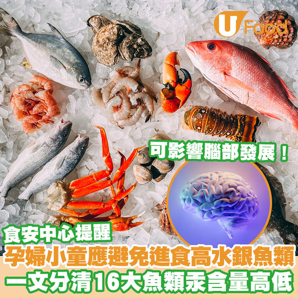 食安中心：孕婦小童避免進食高水銀魚類 一文分清16大魚類汞含量高低