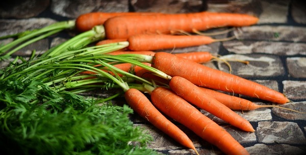 研究：食生紅蘿蔔可降膽固醇達11%！　細數紅蘿蔔4大營養素
