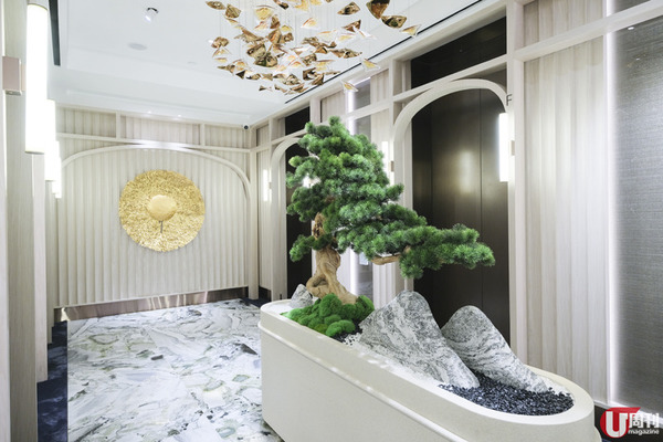 高空打卡中菜廳 銅鑼灣飲茶新熱點 / 流心鵪鶉蛋燒賣