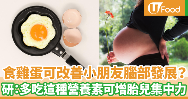 吃雞蛋可以幫助改善孩子腦部發展？　研究：孕婦多吃這種營養素可以幫助改善胎兒集中力