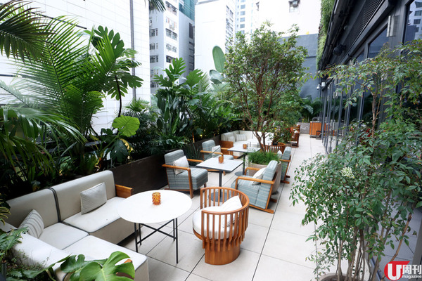 THE HARI 酒店空中花園 688 元 5 小時新派日菜 BRUNCH  