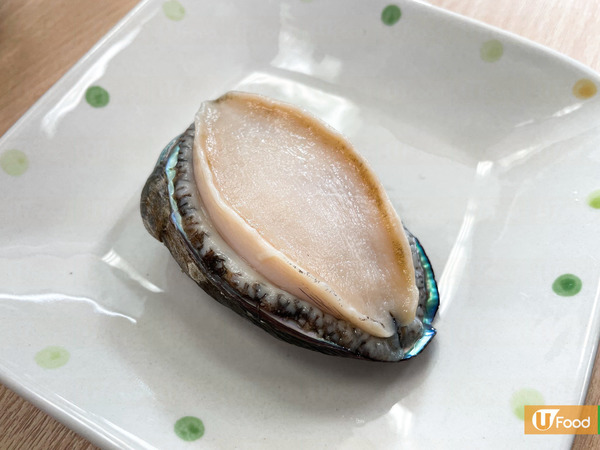 鮑魚超強大！外殼似避彈衣／吸力達200公斤！ 12件關於鮑魚不可不知的事